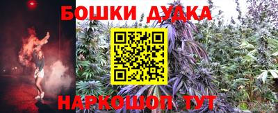 сатива Кулебаки