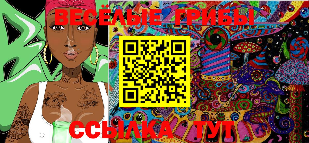 Котлас  сколько стоит  Псилоцибиновые грибы Magic Shrooms  Вход с VPN  Галлюциногенные грибы MAGIC MUSHROOMS 